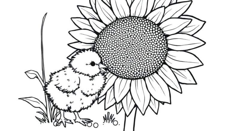 A fluffy chick pecking a sunflower, a fun color panel for kids.