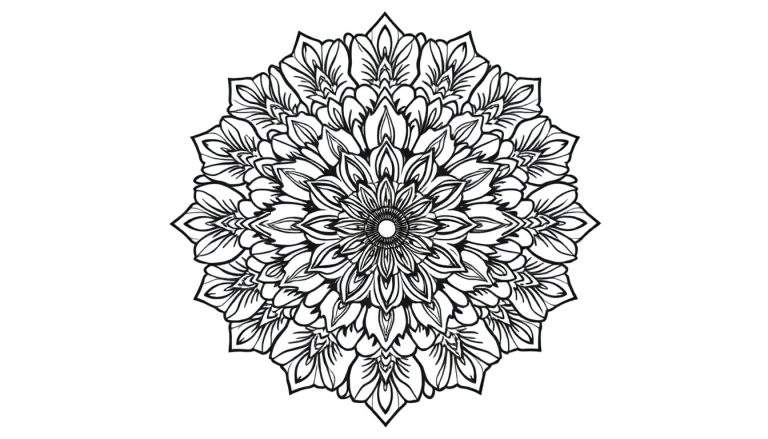 A detailed and symmetrical floral mandala shaped like a heart, perfect for coloring.