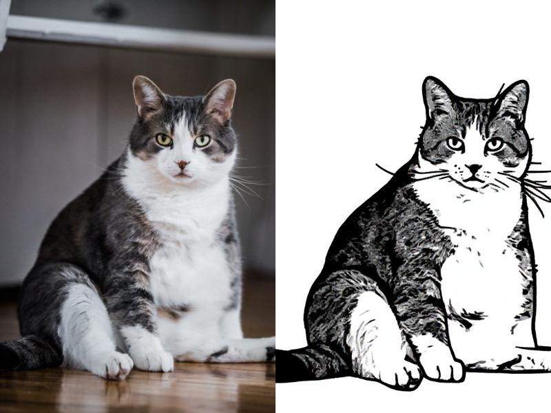 Photo to coloring page