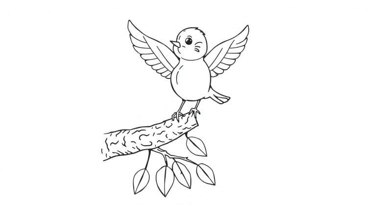 A cute bluebird coloring panel with wings spread.